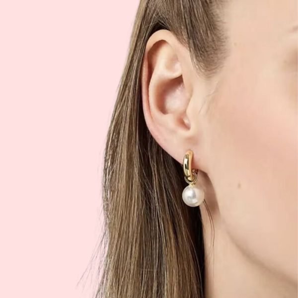 Stainless Steel Roma Earrings in model
