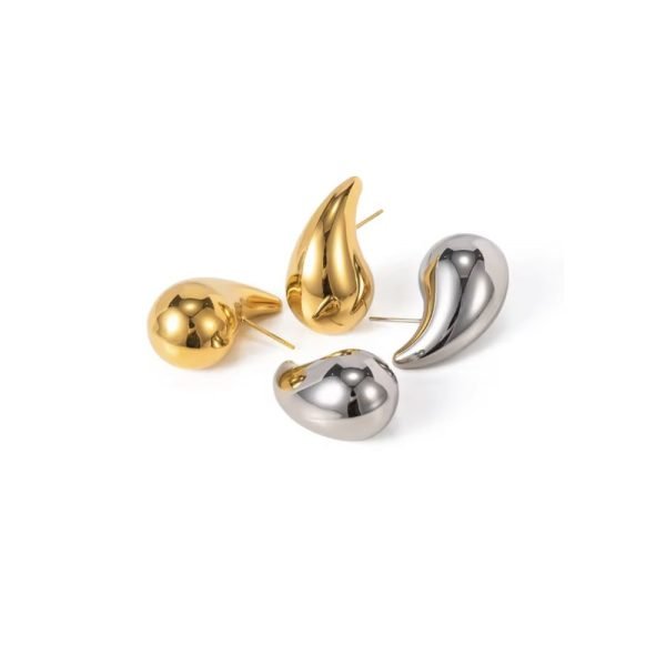 Stainless Steel Miley Earrings