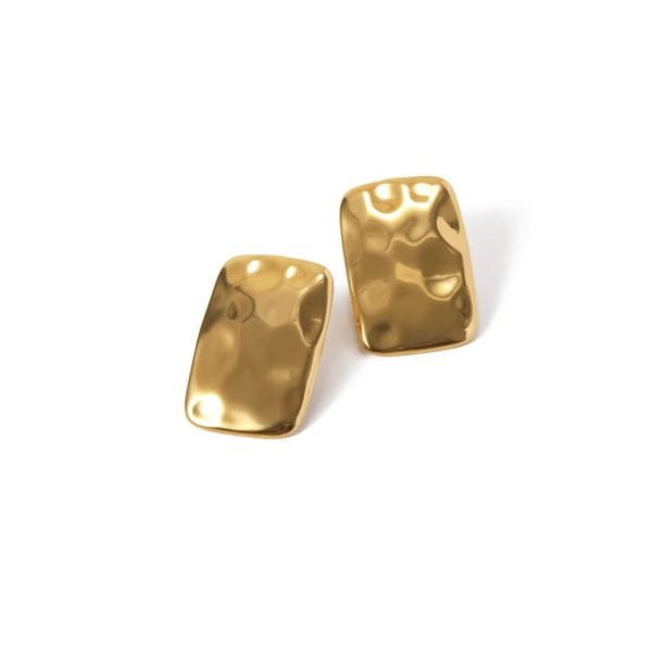 Stainless Steel Amber Earrings