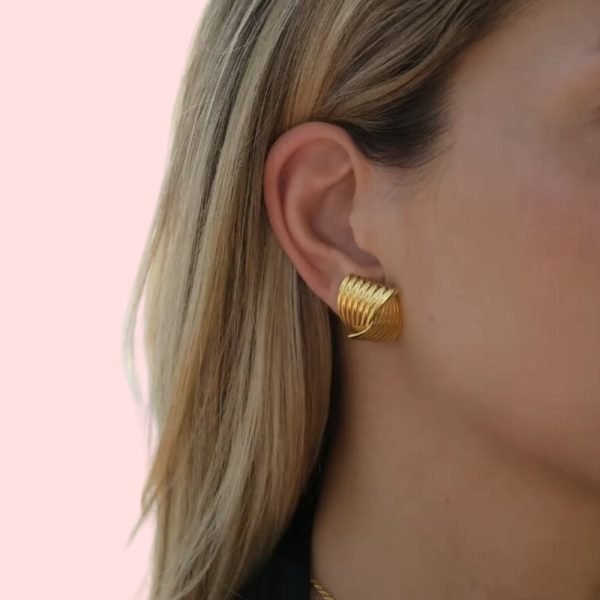 for a chic, contemporary look. Stainless Steel Cora Earrings Model