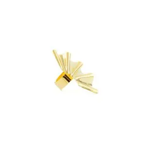 Lee Ring in gold Lee Ring